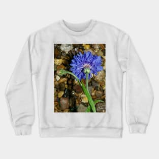 Blue cornflower Crewneck Sweatshirt